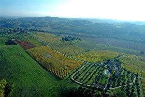 Agriturismo in Toscana con piscina circandato da vigne sulle colline del Chianti