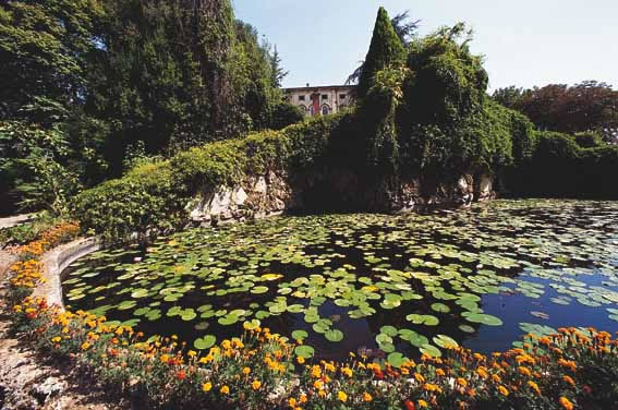 Nimpheas fountain in Tuscany