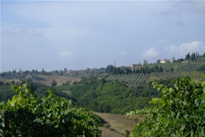 Siena and the Mangia tower seen form a farm house trought Chianti vineyard